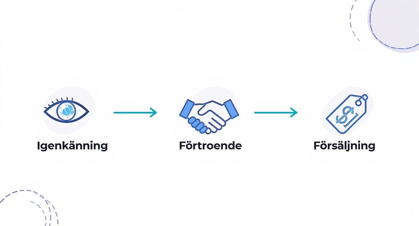 Infographic about malmö grafisk design