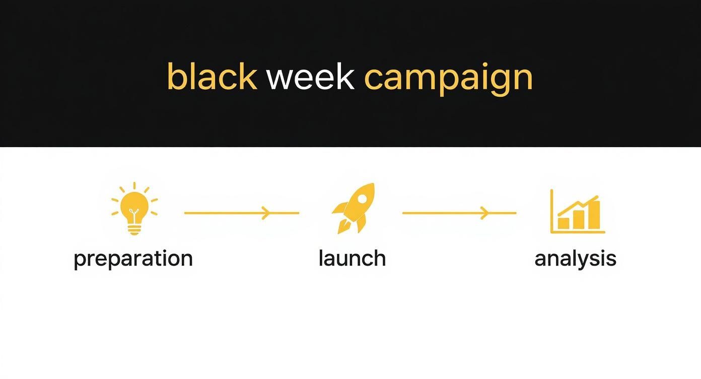 Infographic about black week 2023