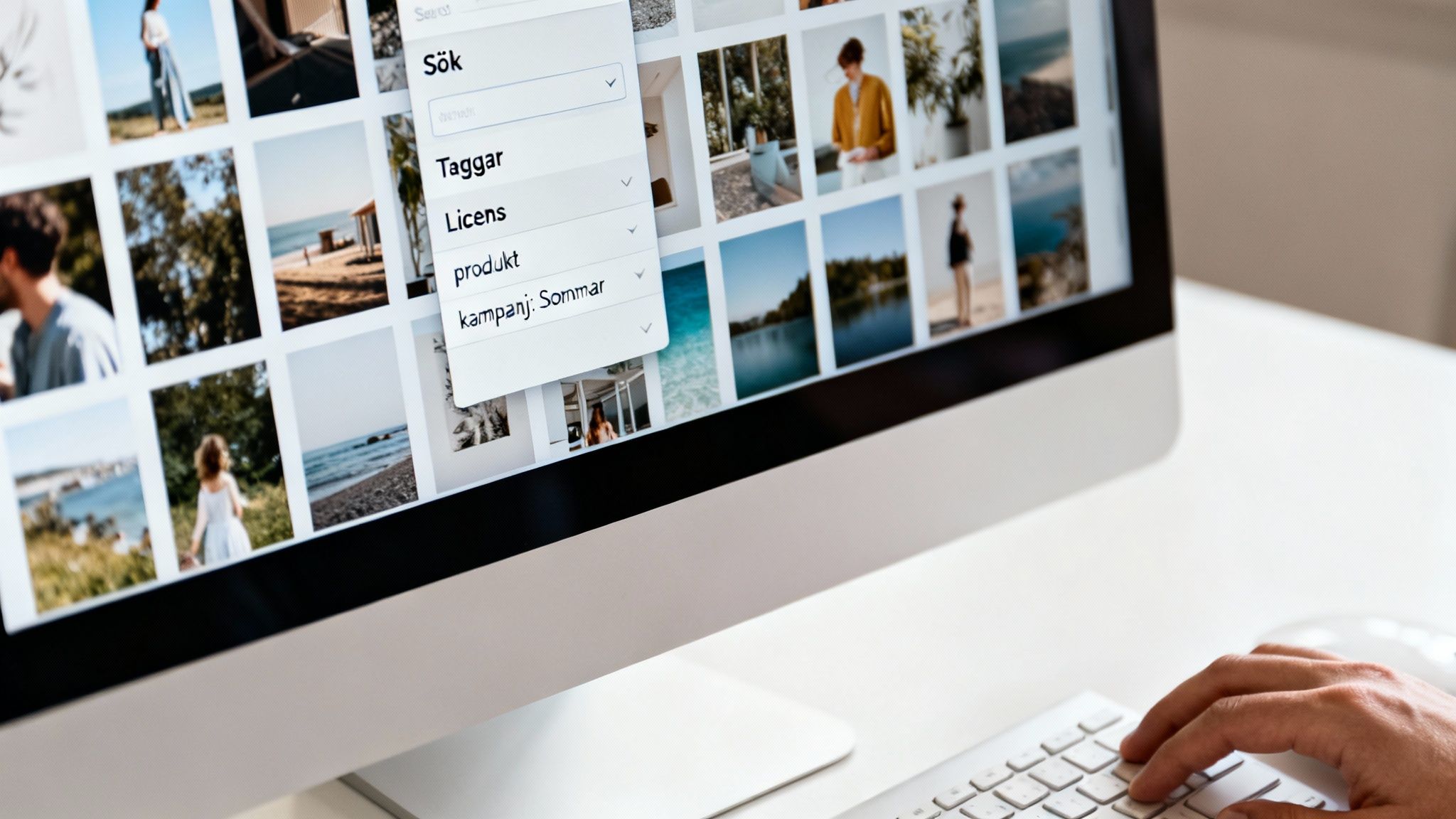 En person navigerar i en bildbank på en datorskärm, med sökalternativ som taggar, licenser och kampanjer.