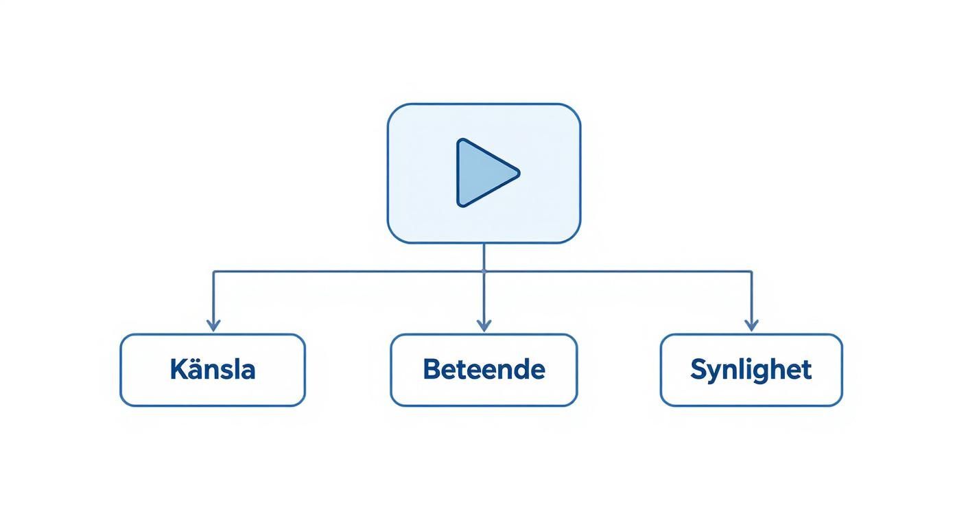 Diagram som illustrerar videons effekter på tre centrala aspekter: känsla, beteende och synlighet.
