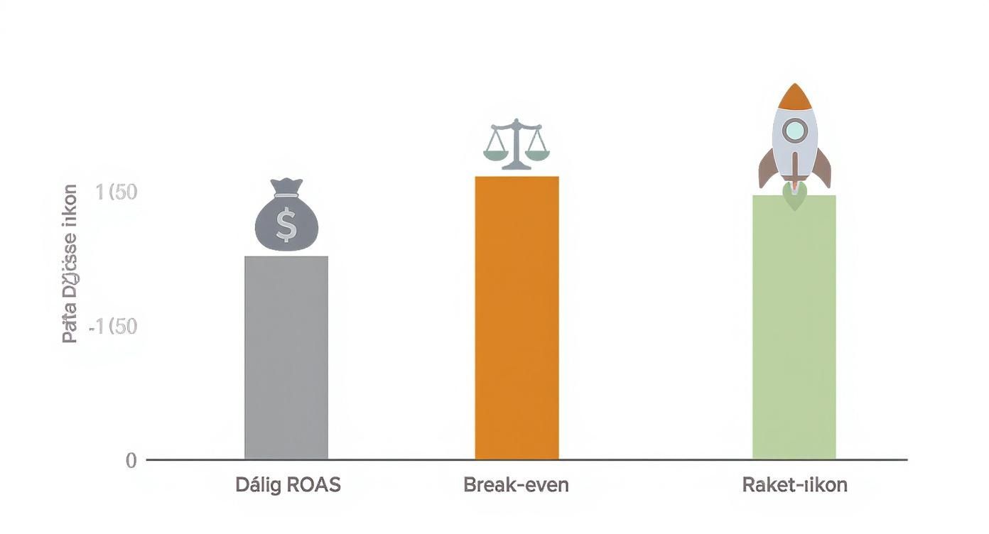 Stapeldiagram som jämför dålig ROAS, break-even och raketikon med ikoner för prestation.