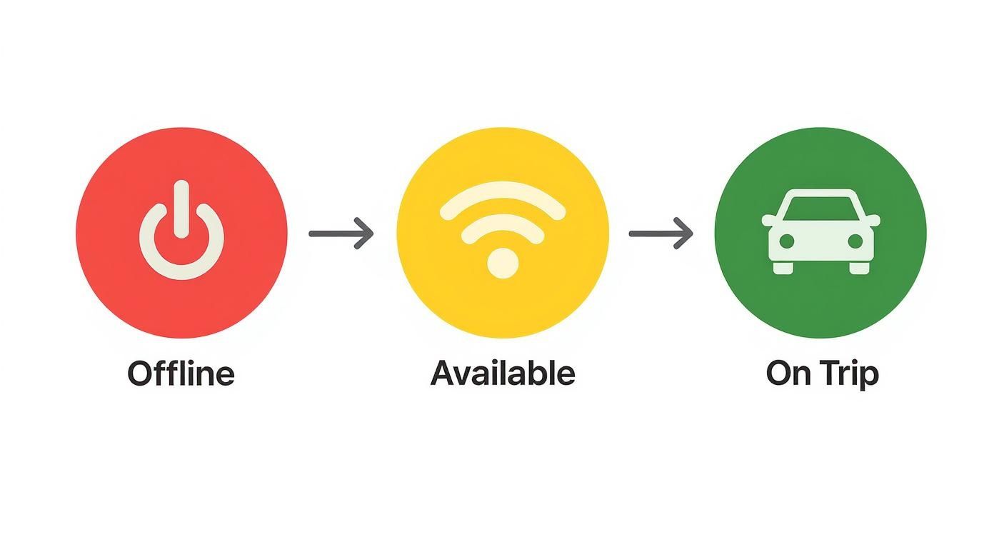 An infographic decision tree showing the different statuses of an Uber driver—Offline, Available, and On Trip—and how they affect insurance coverage.