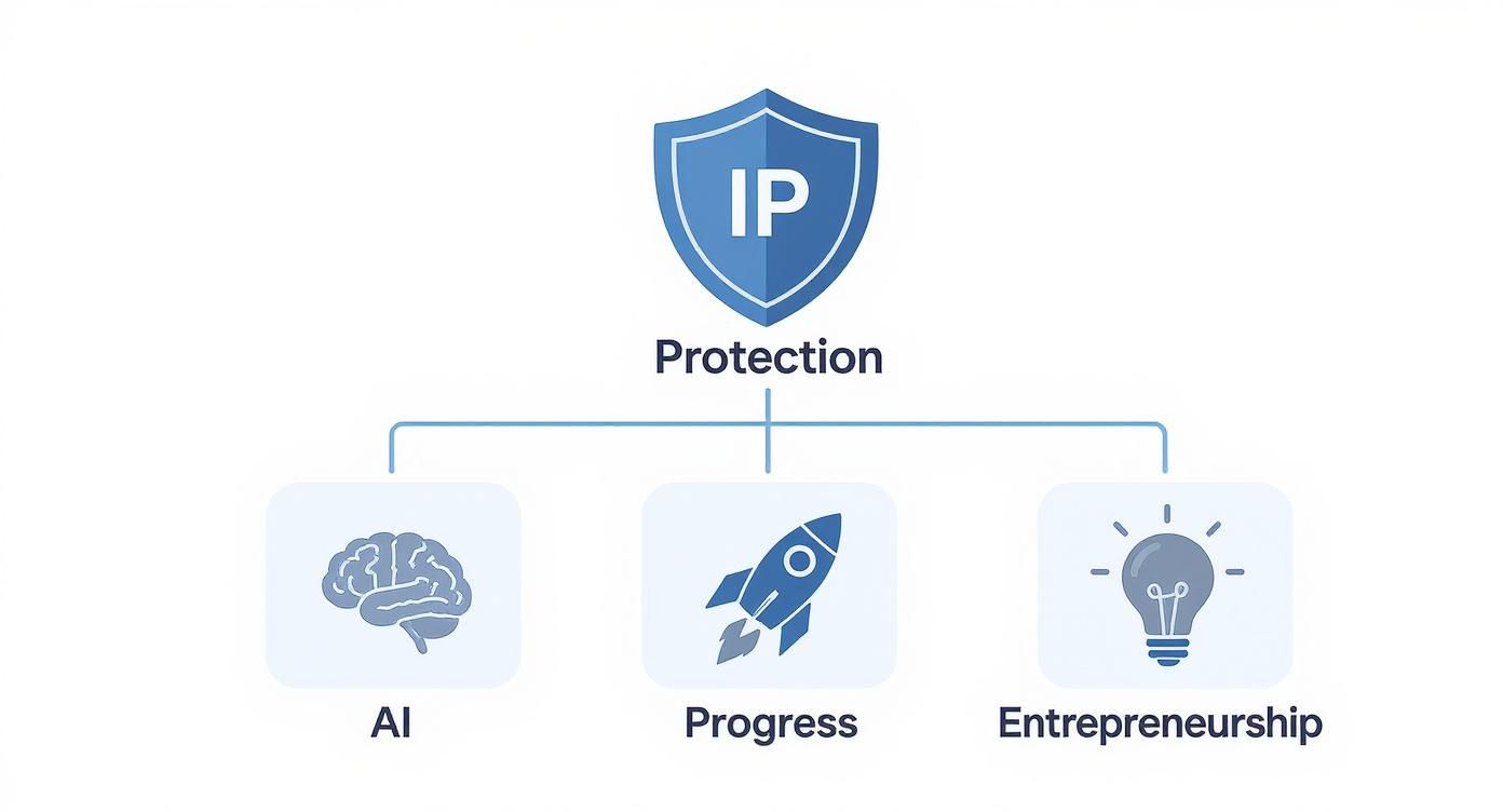 Infographic about what is intellectual property protection