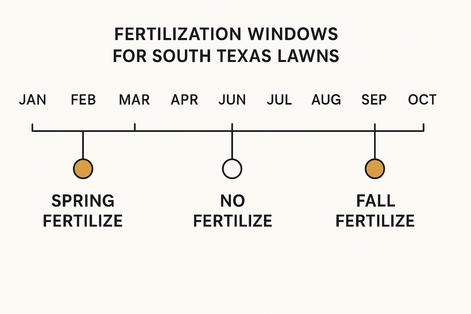 Infographic about when to fertilize lawns in texas