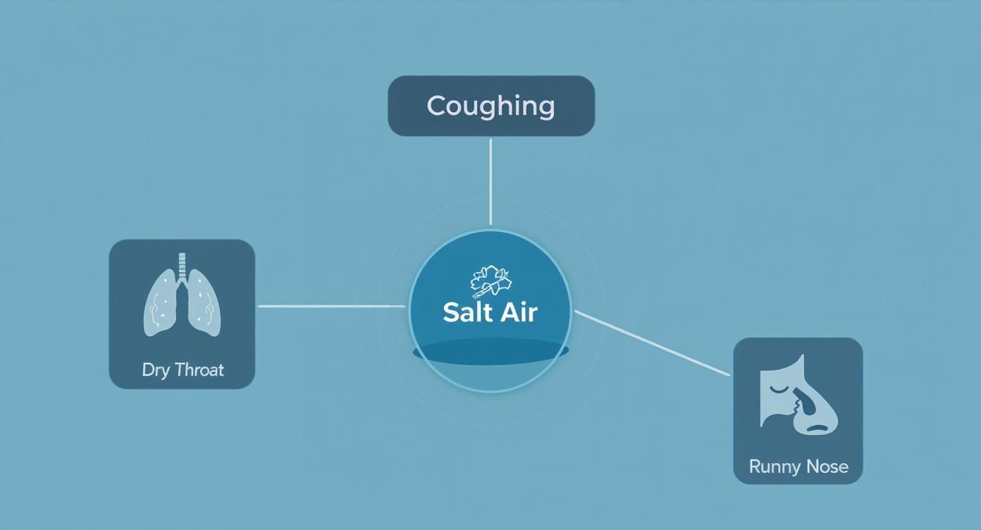 Infographic about salt cave therapy side effects