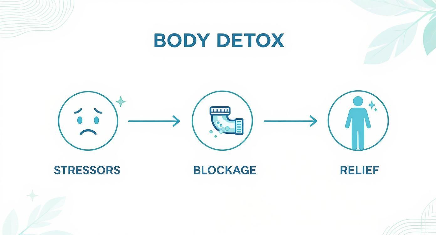 Infographic about lymphatic drainage suit