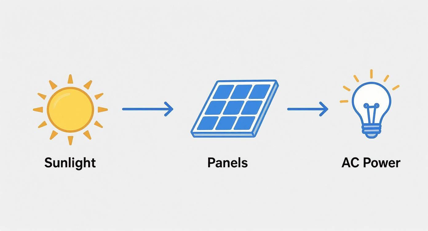 Infographic about what are solar inverters