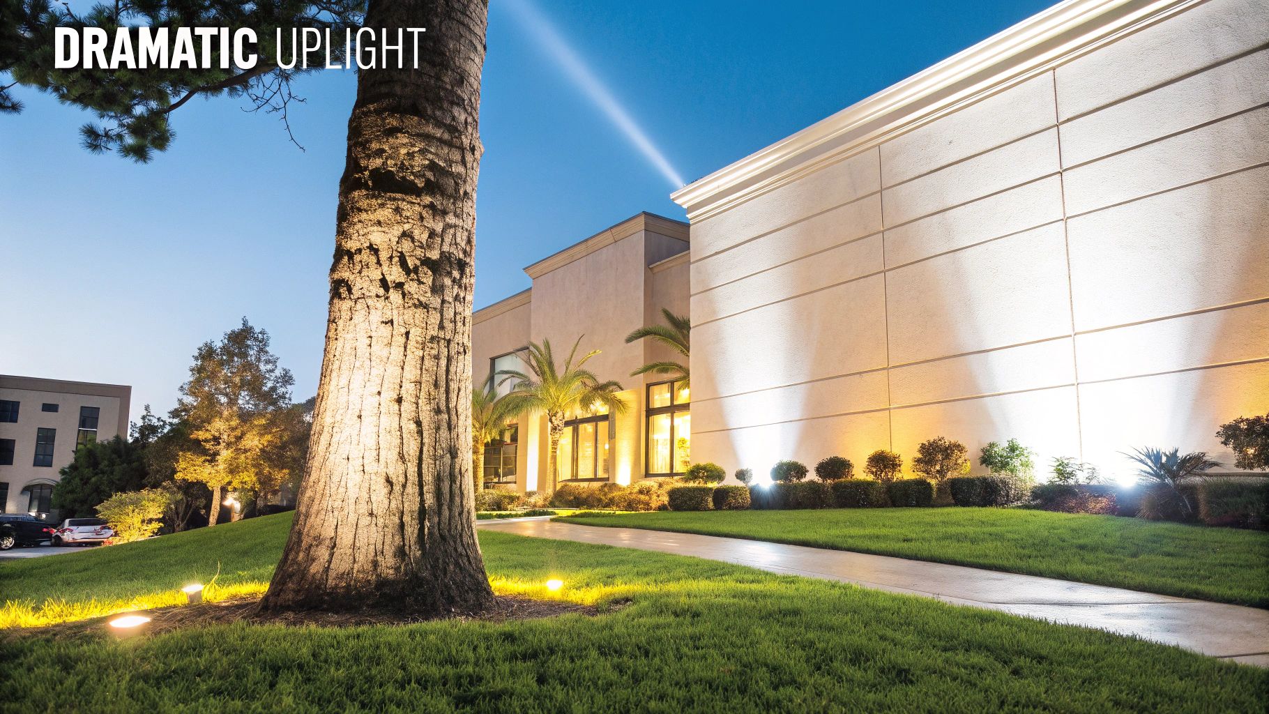 Uplighting for Trees and Architecture