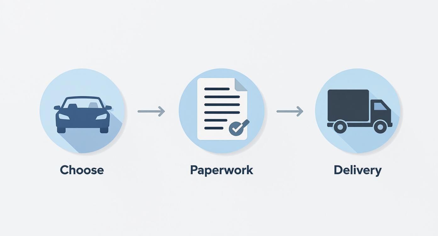 Infographic about car delivery service near me
