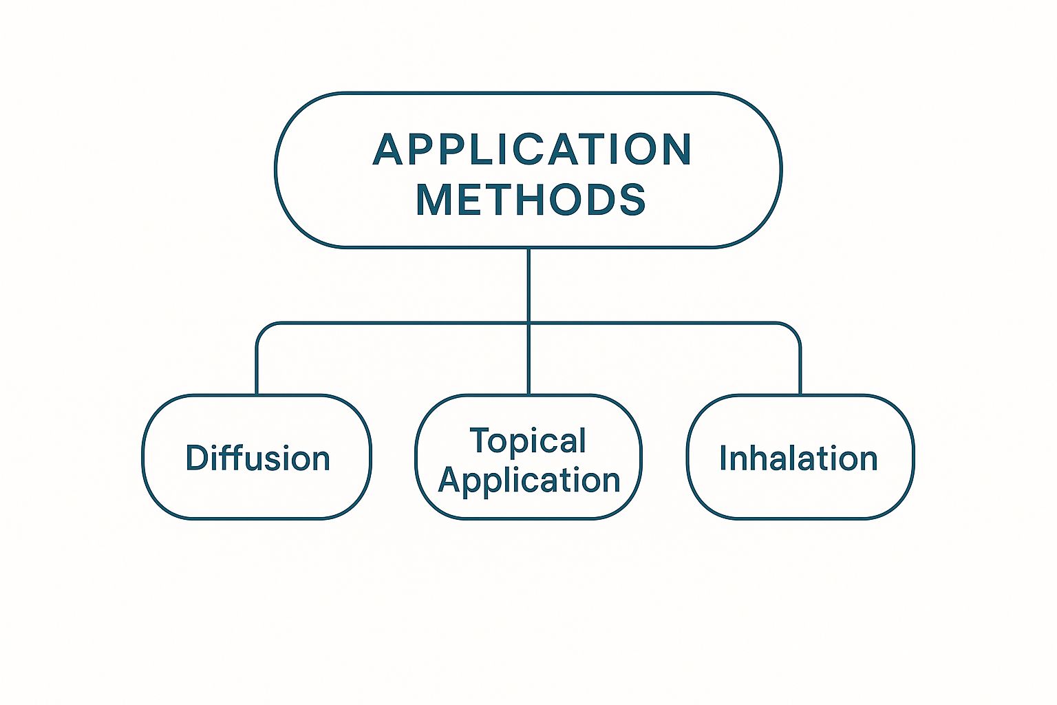 An infographic showing a central node labeled 'Application Methods' connected to 'Diffusion', 'Topical Application', and 'Inhalation'.
