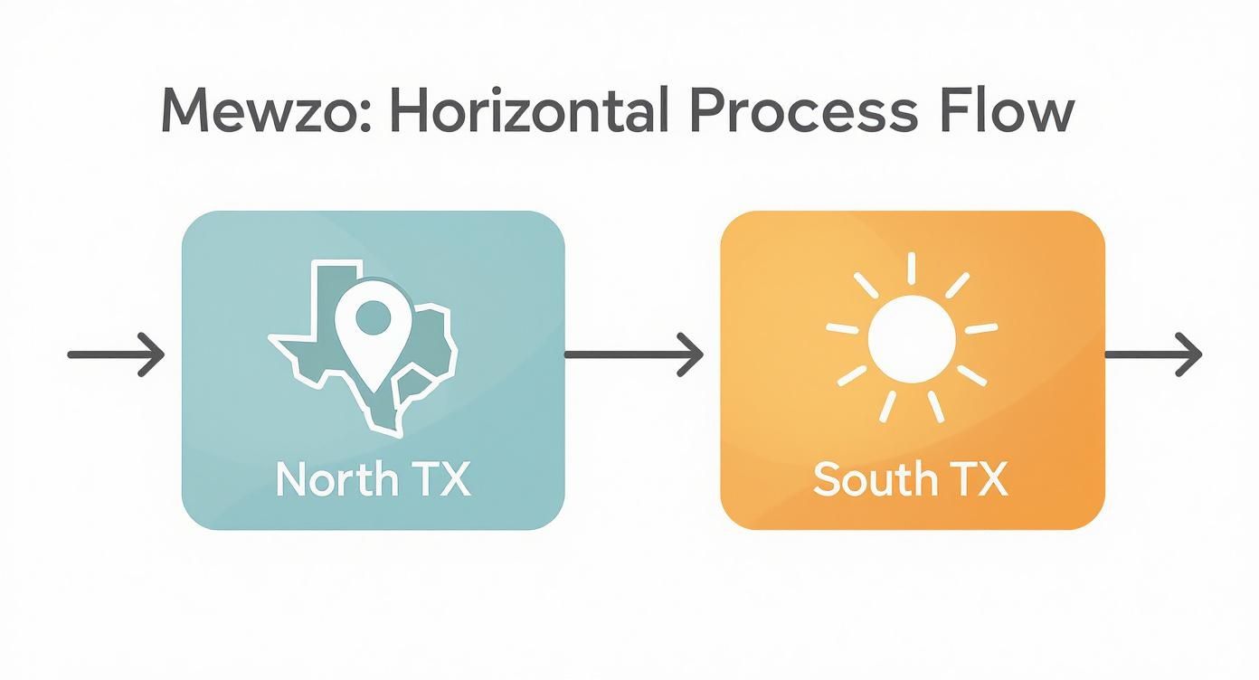 Infographic about when to plant wildflower seeds in texas