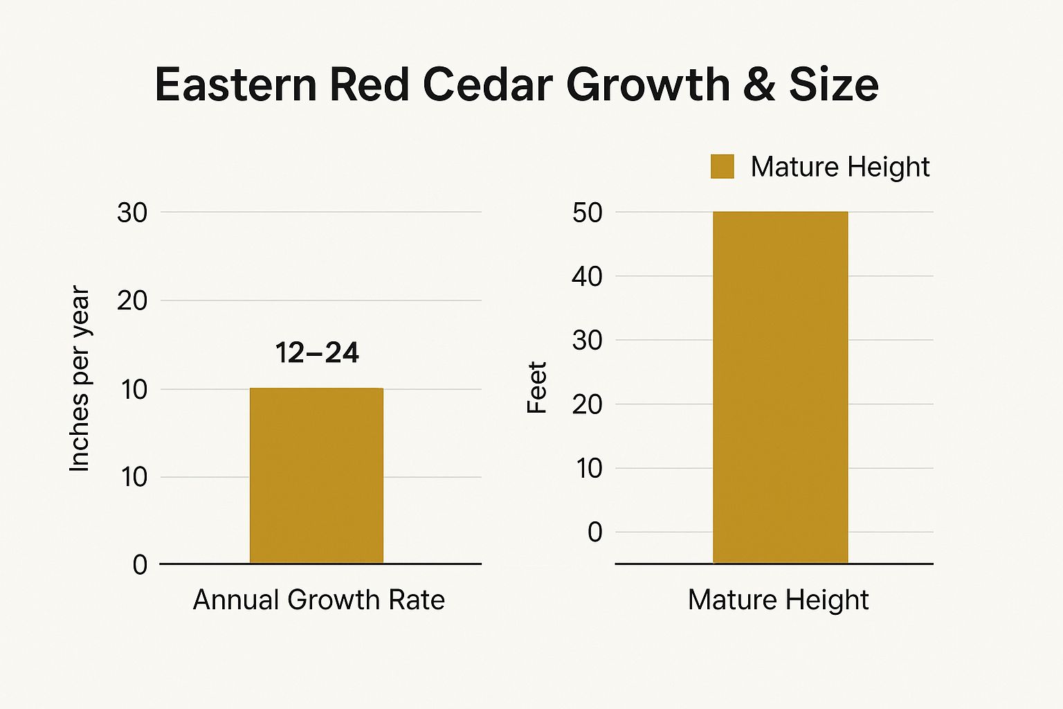 Infographic showing key data about Eastern Red Cedar (Juniperus virginiana)