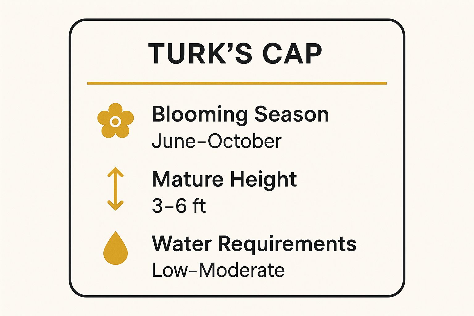 Infographic showing key data about Turk's Cap (Malvaviscus arboreus var. drummondii)