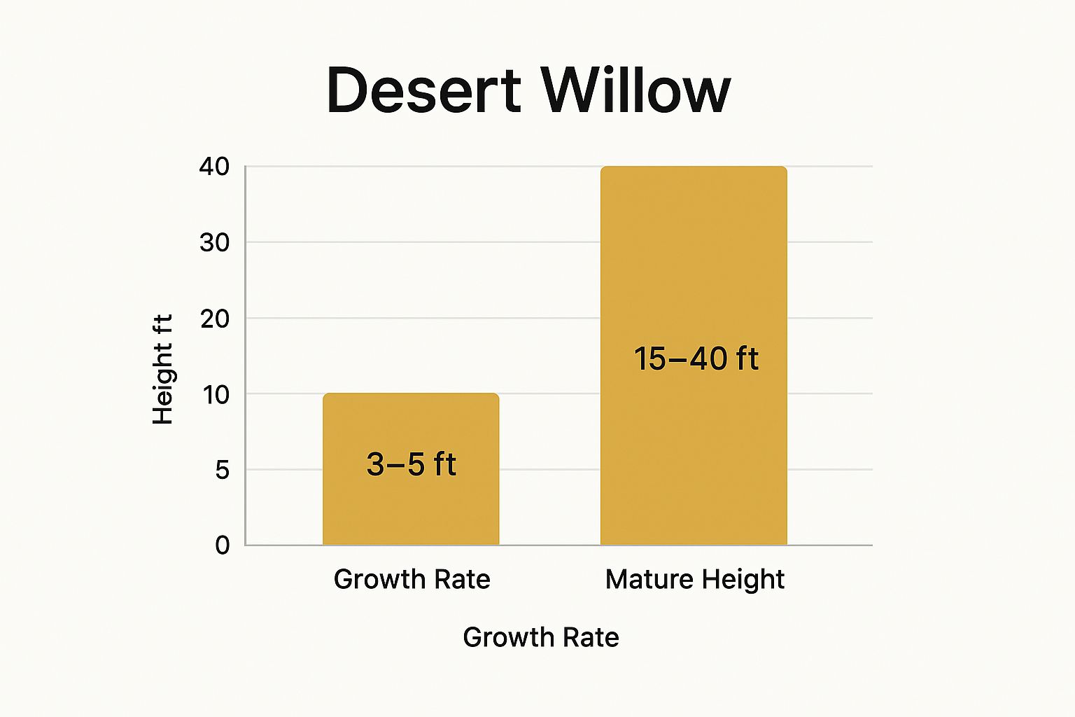 Infographic showing key data about Desert Willow (Chilopsis linearis)