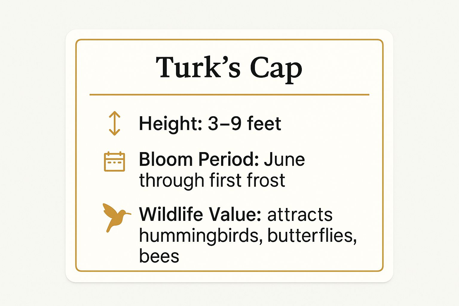 Infographic showing key data about Turk's Cap (Malvaviscus arboreus var. drummondii)