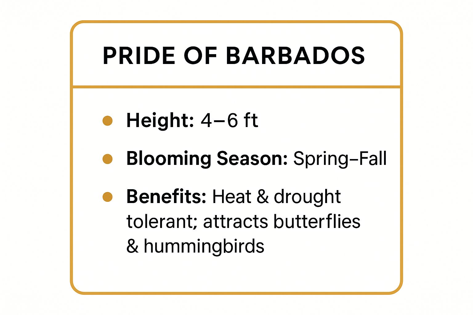 Infographic showing key data about Pride of Barbados (Caesalpinia pulcherrima)