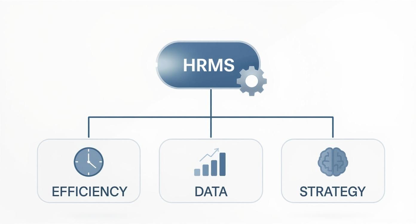 Diagram illustrating HRMS (Human Resource Management System) benefits: efficiency, data analysis, and strategic planning.