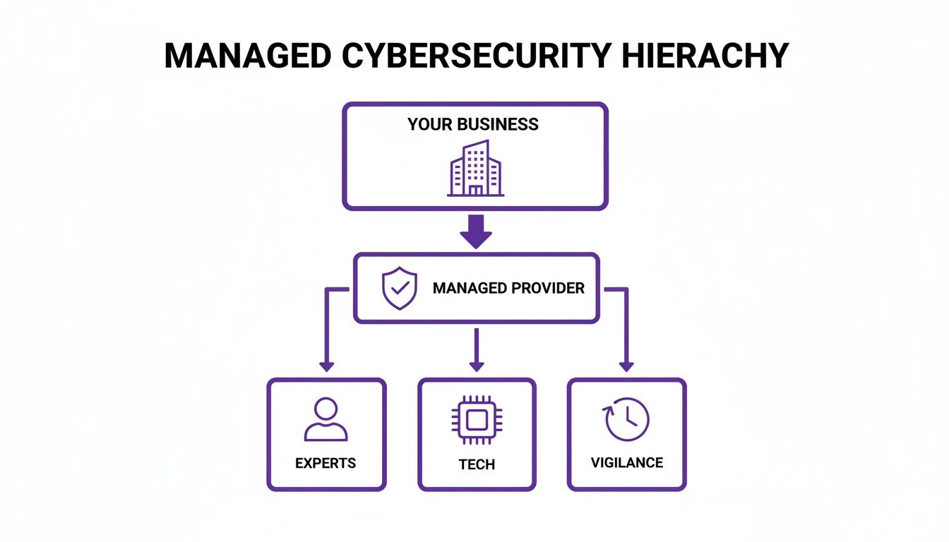 A managed cybersecurity hierarchy diagram showing a business relying on a managed provider for experts, technology, and vigilance.