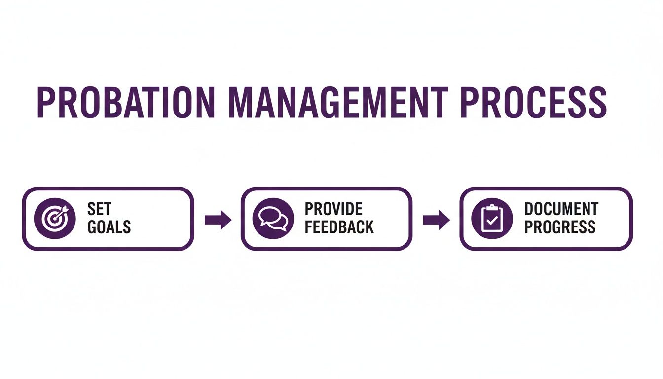 A flowchart illustrates the probation management process, detailing steps from setting goals to documenting progress.