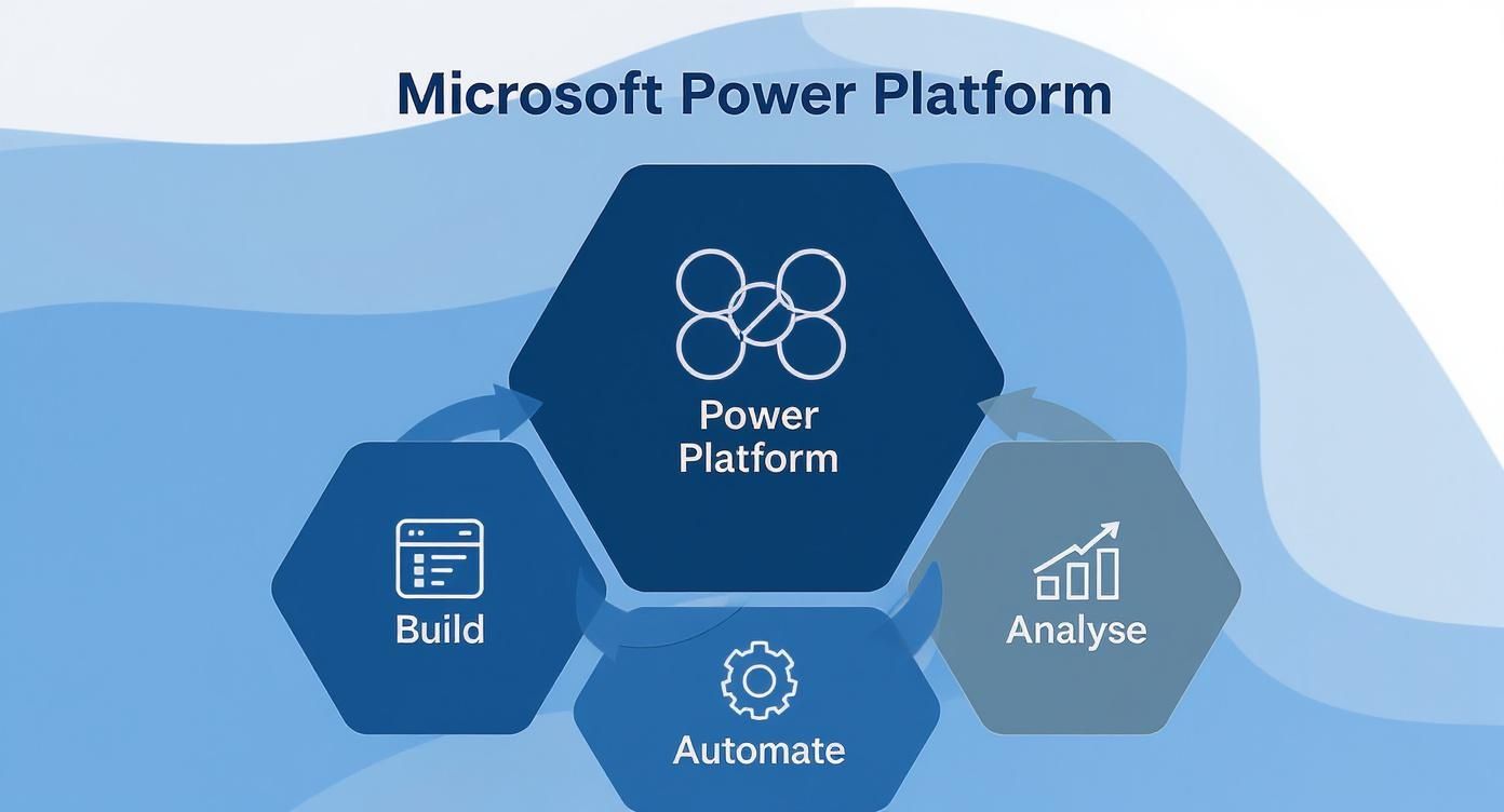 Microsoft Power Platform overview diagram showing core capabilities: Build, Automate, and Analyse.