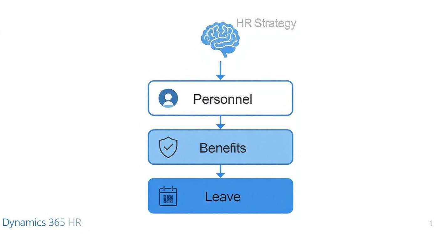 Infographic about dynamics 365 for hr