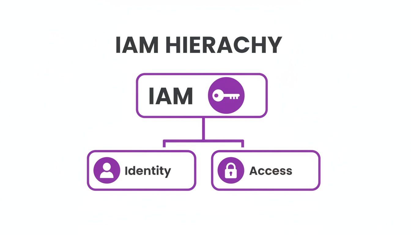 Diagram illustrating the IAM hierarchy, breaking down Identity and Access Management into Identity and Access.