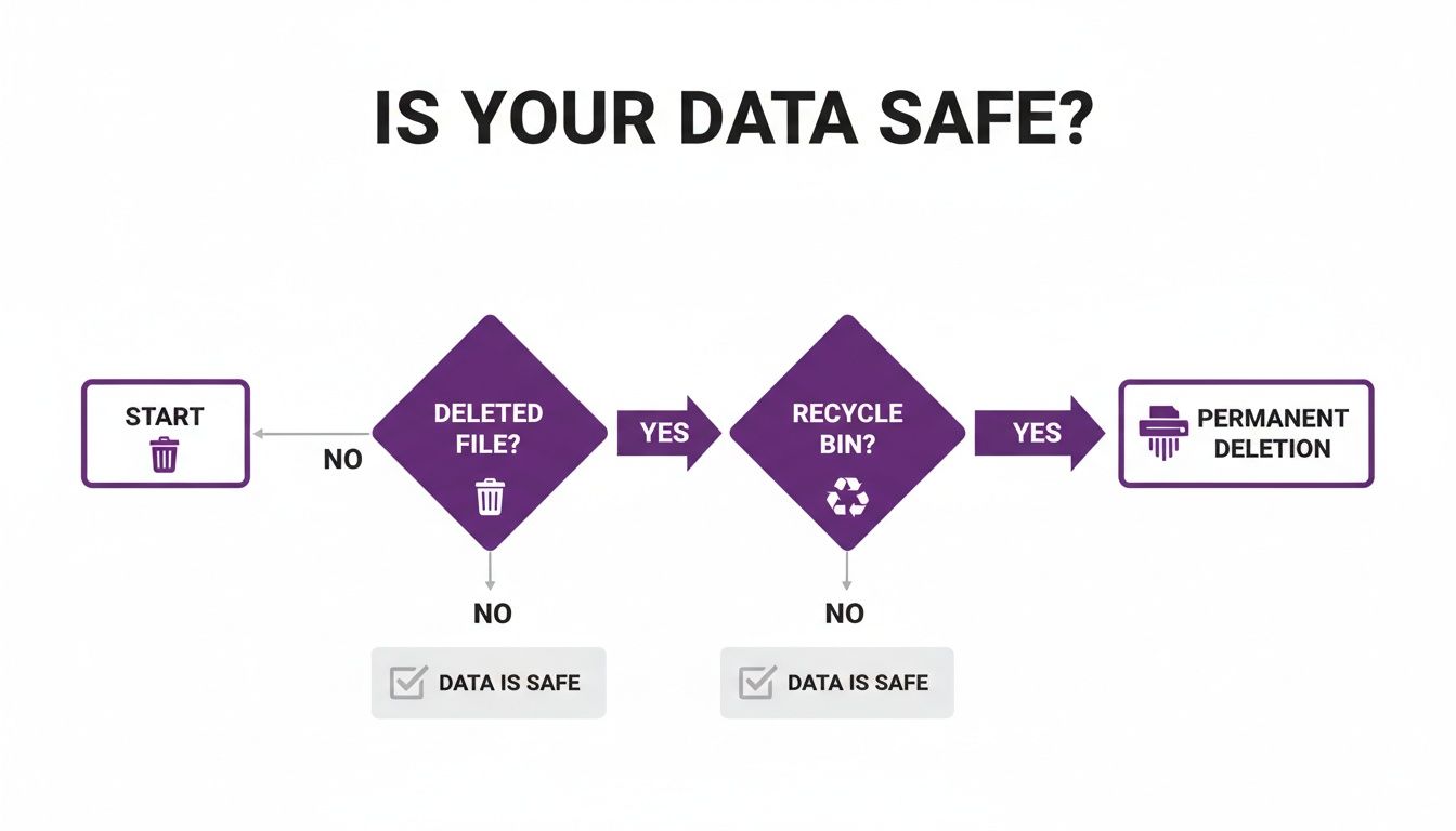 Flowchart illustrates data deletion stages, showing files are still recoverable until permanent deletion.