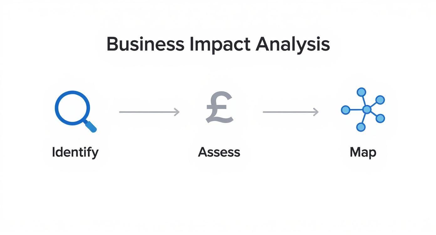 A clear flow diagram illustrating the Business Impact Analysis process: Identify, Assess, and Map, with relevant icons.