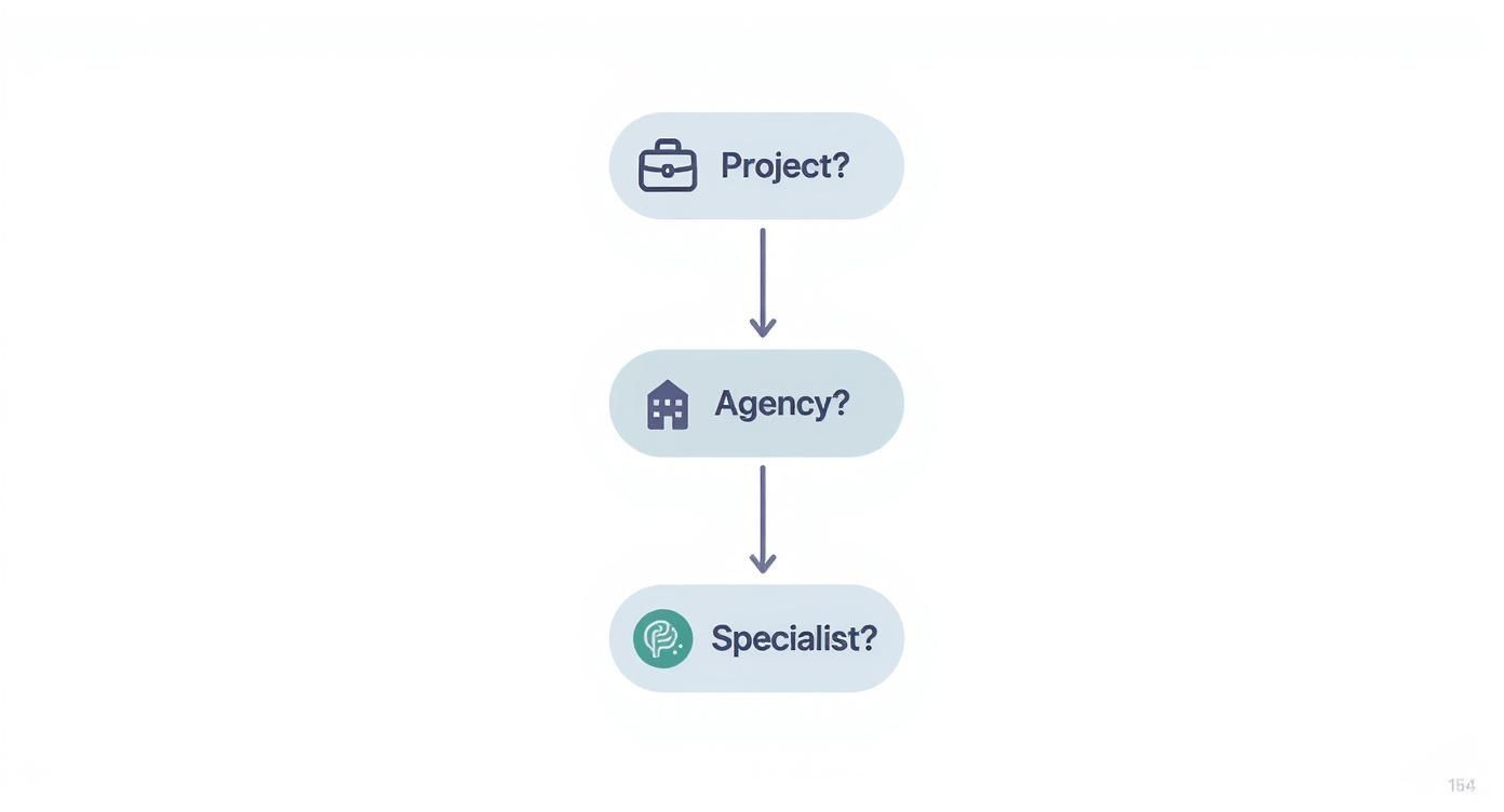 Flowchart illustrating a decision process from Project, to Agency, then to Specialist, connected by arrows.