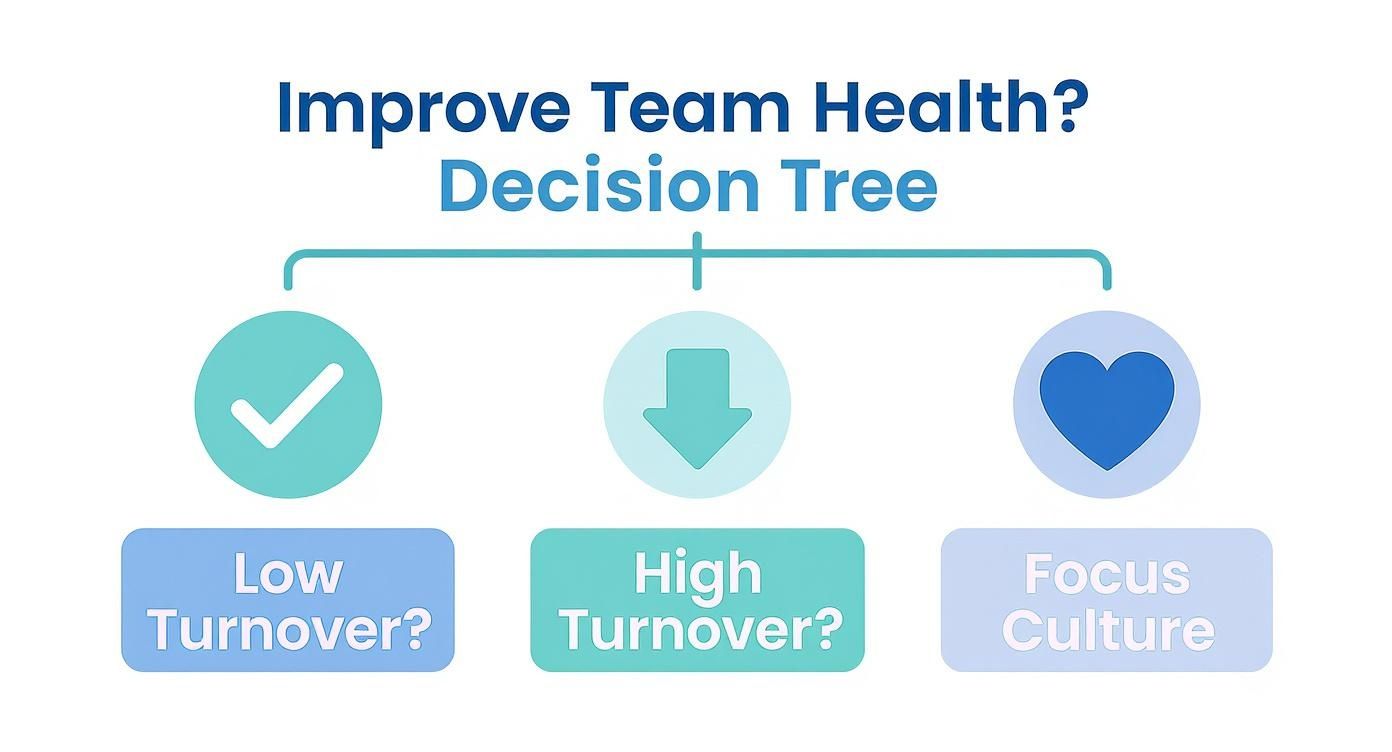 An infographic decision tree asking if a business should improve team health. The left path shows low turnover and the right path shows high turnover, leading to a focus on culture.