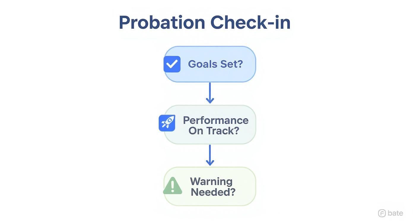 Infographic decision tree for probation period check-ins, showing nodes for goal setting, performance tracking, and issuing warnings.