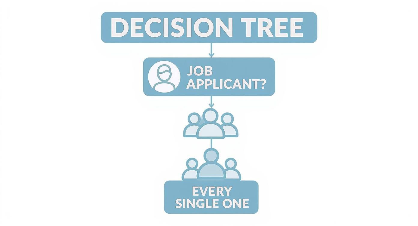 Infographic about right to work checks uk