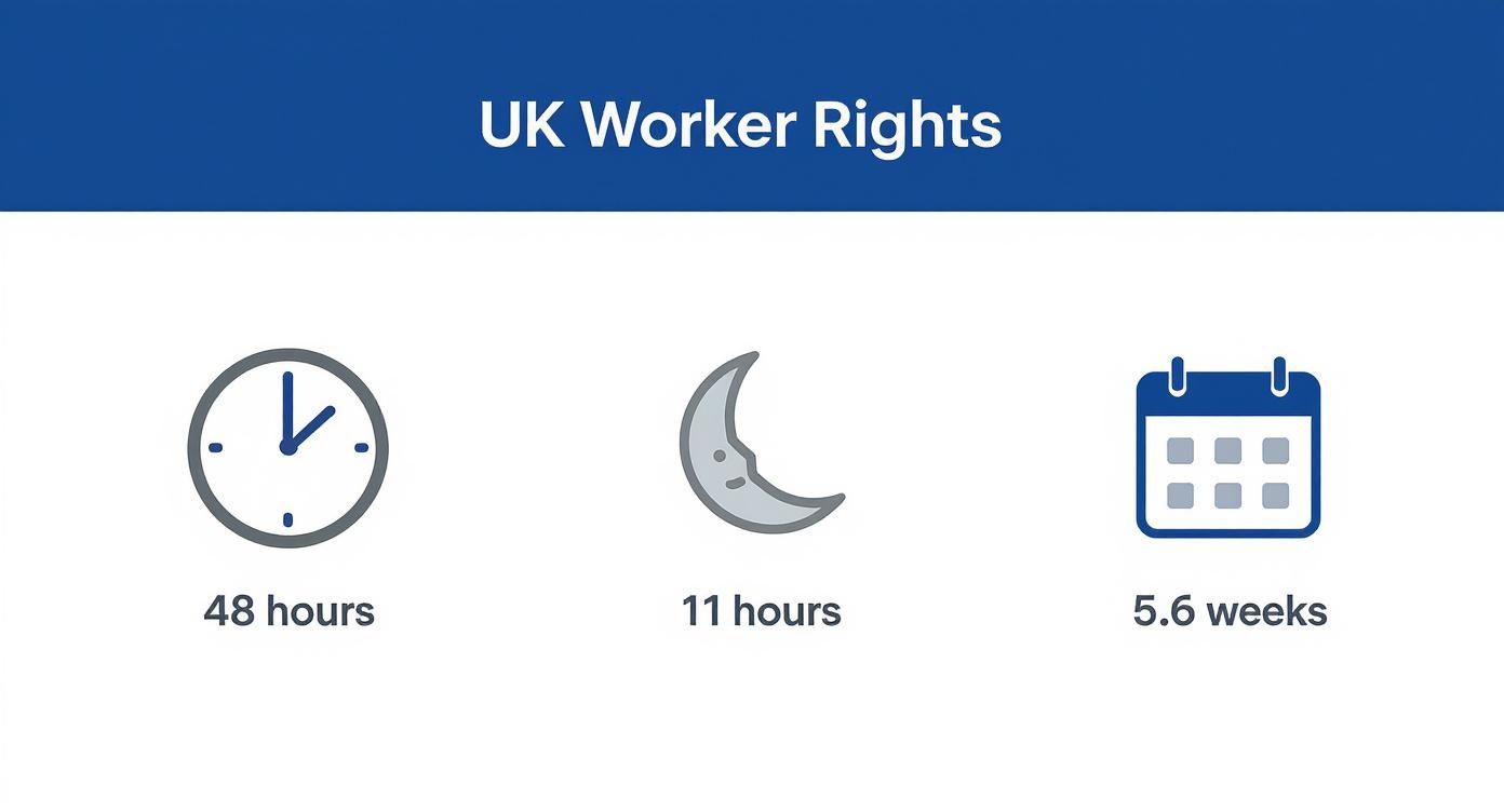 An infographic showing UK worker rights: 48 hours maximum working week, 11 hours rest, and 5.6 weeks leave.