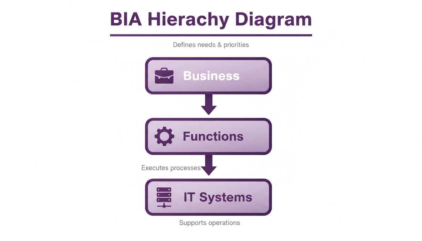 A Business Impact Analysis (BIA) hierarchy diagram, showing business defining needs, functions executing processes, and IT systems supporting operations.