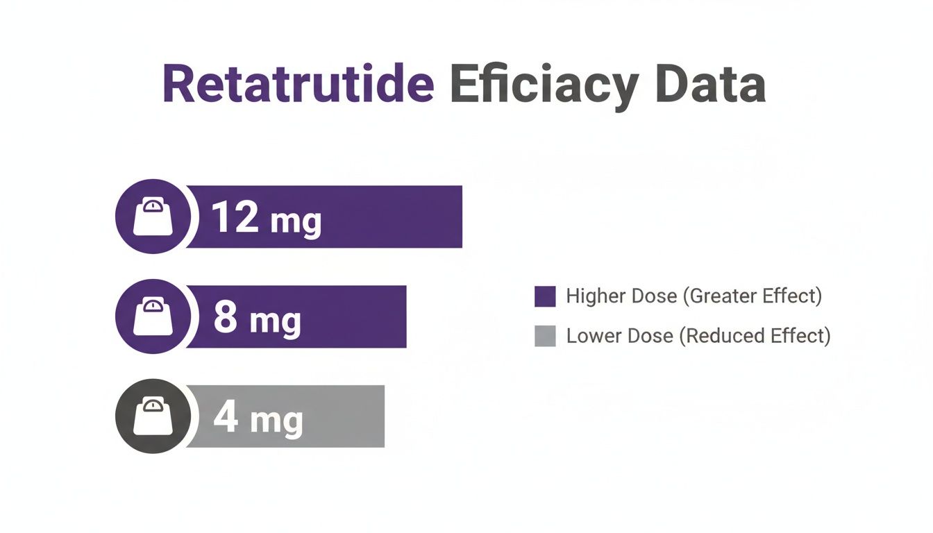 Retatrutide efficacy data visually comparing 12 mg, 8 mg (higher effect) and 4 mg (reduced effect) doses.