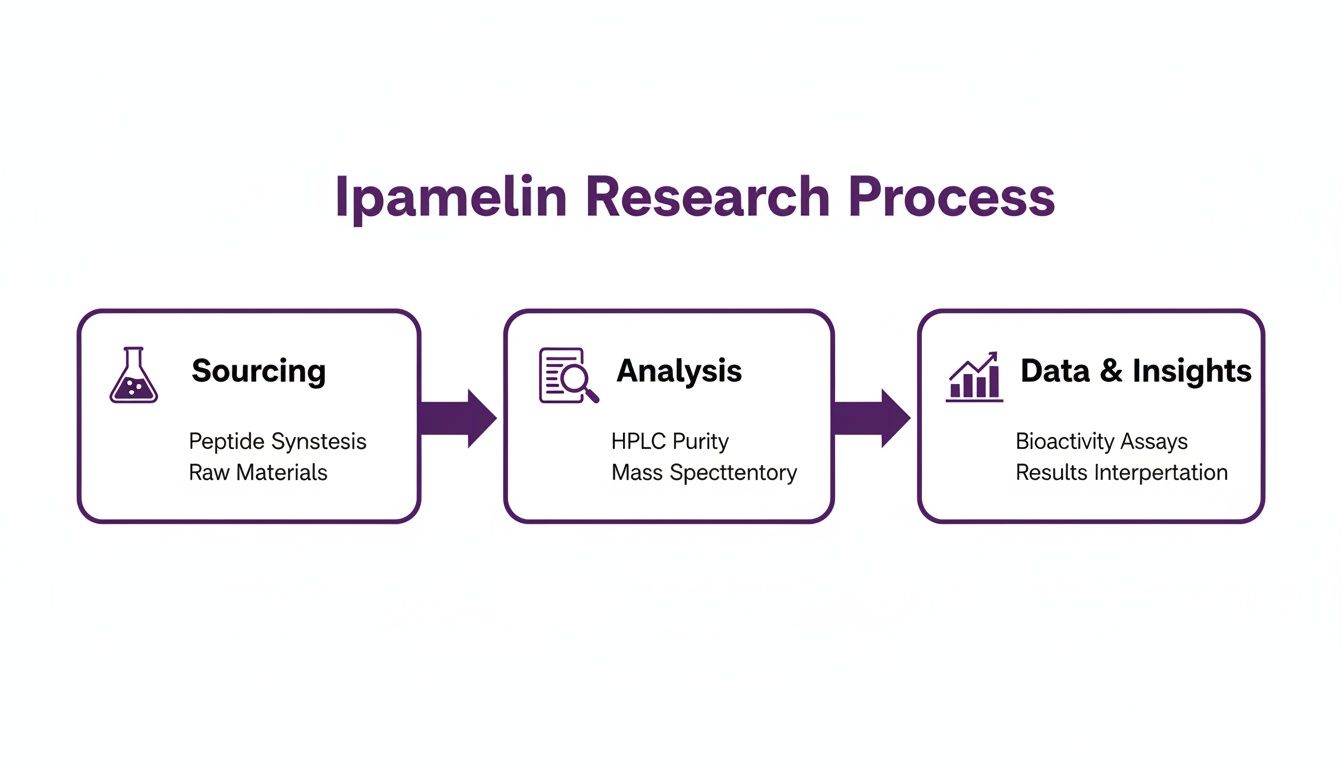 Flowchart illustrating the Ipamelin research process: Sourcing, Analysis, and Data & Insights.