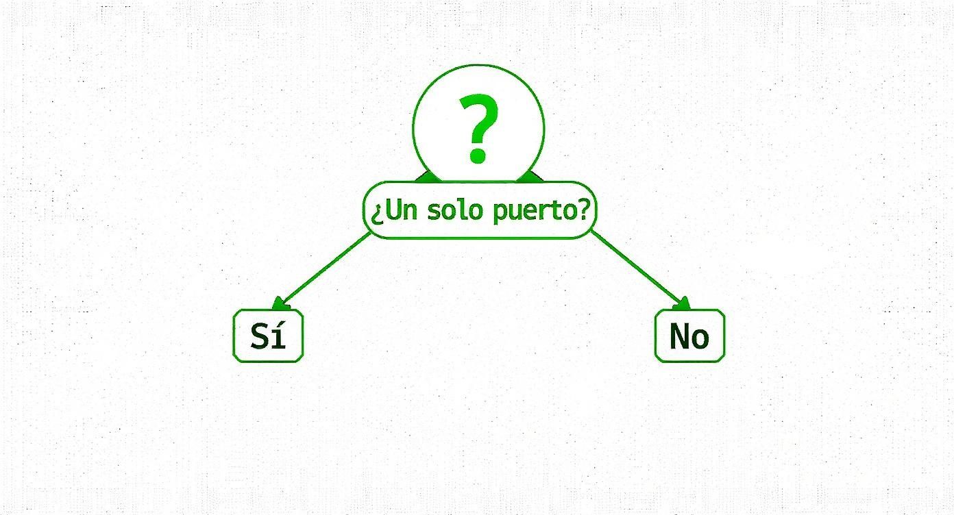 Infographic about test de puertos abiertos