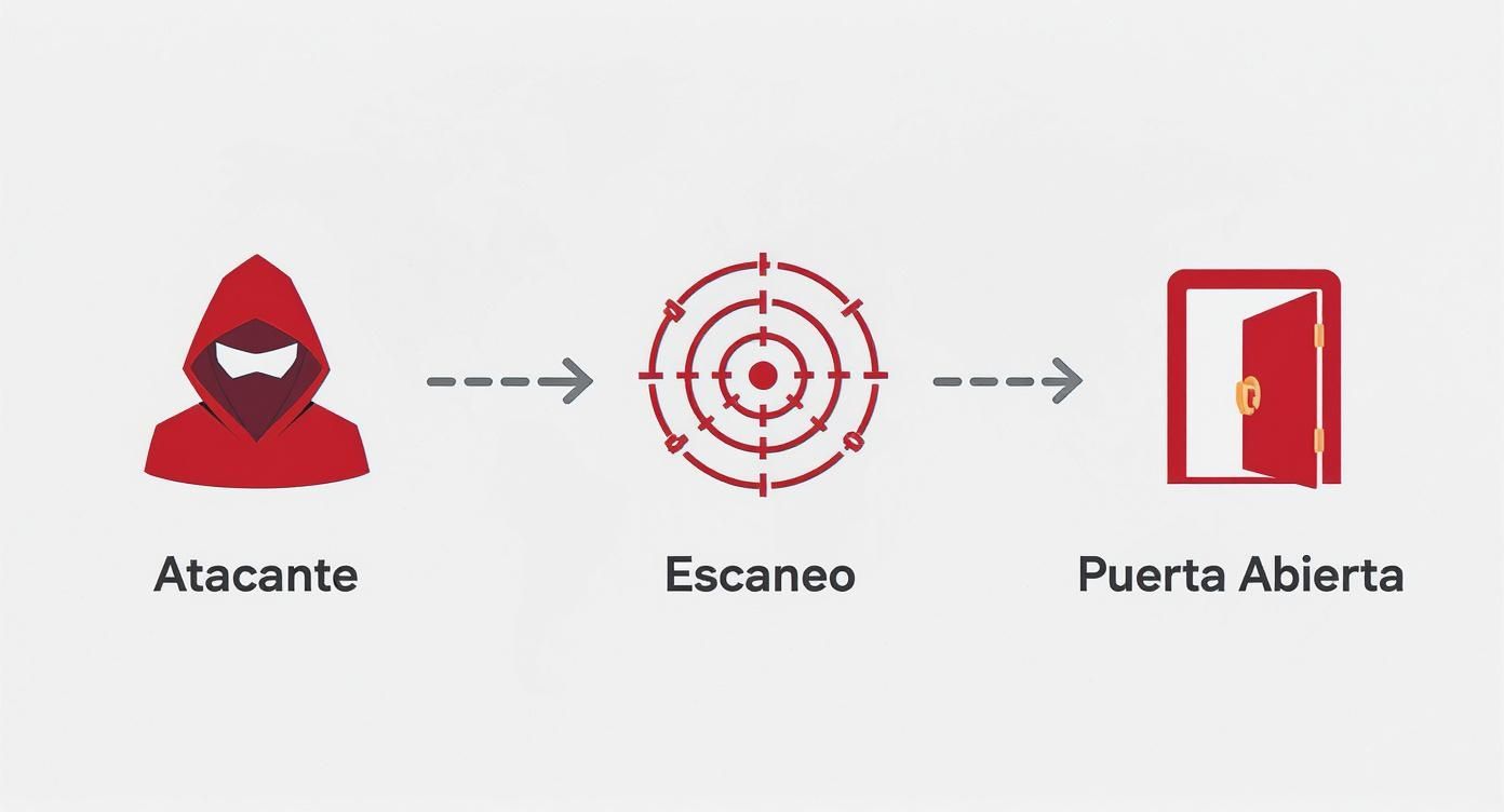 Screenshot from https://nmap.online/es