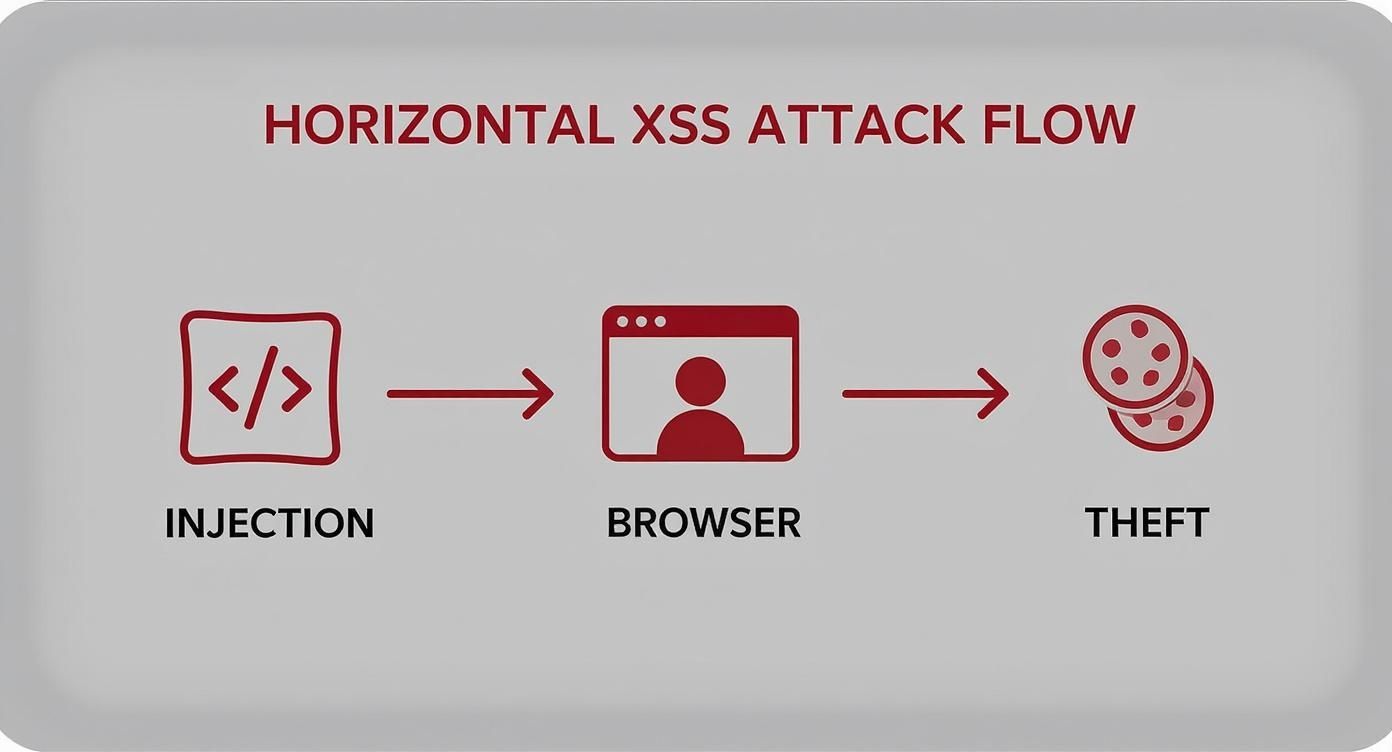 Infographic about cross site scripting