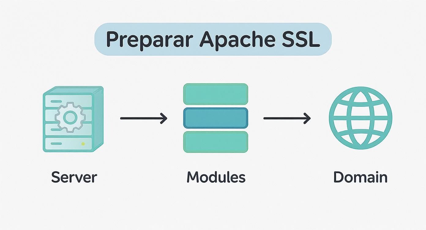 Diagrama de flujo mostrando el proceso de preparación de Apache SSL desde servidor hasta dominio