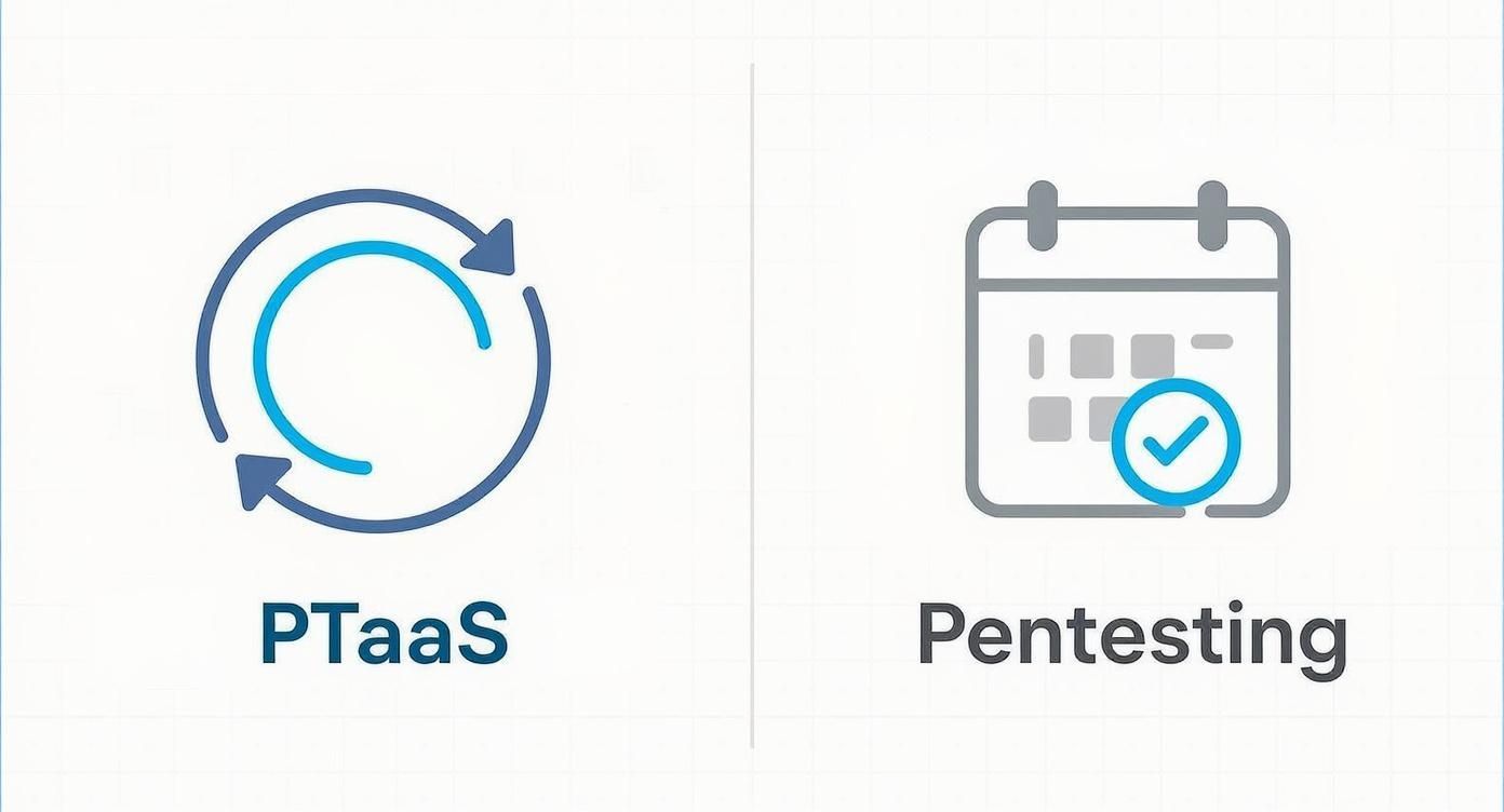 Iconos que representan PTaaS con un ciclo de actualización y Pentesting con un calendario y marca de verificación.