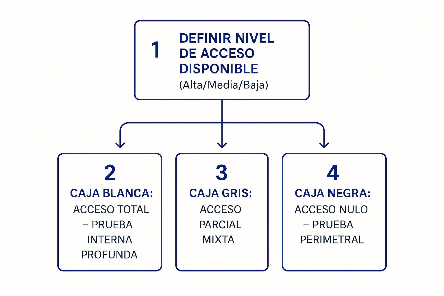 Diagrama de flujo que ilustra la elección entre auditorías de caja blanca, gris y negra según el nivel de acceso.
