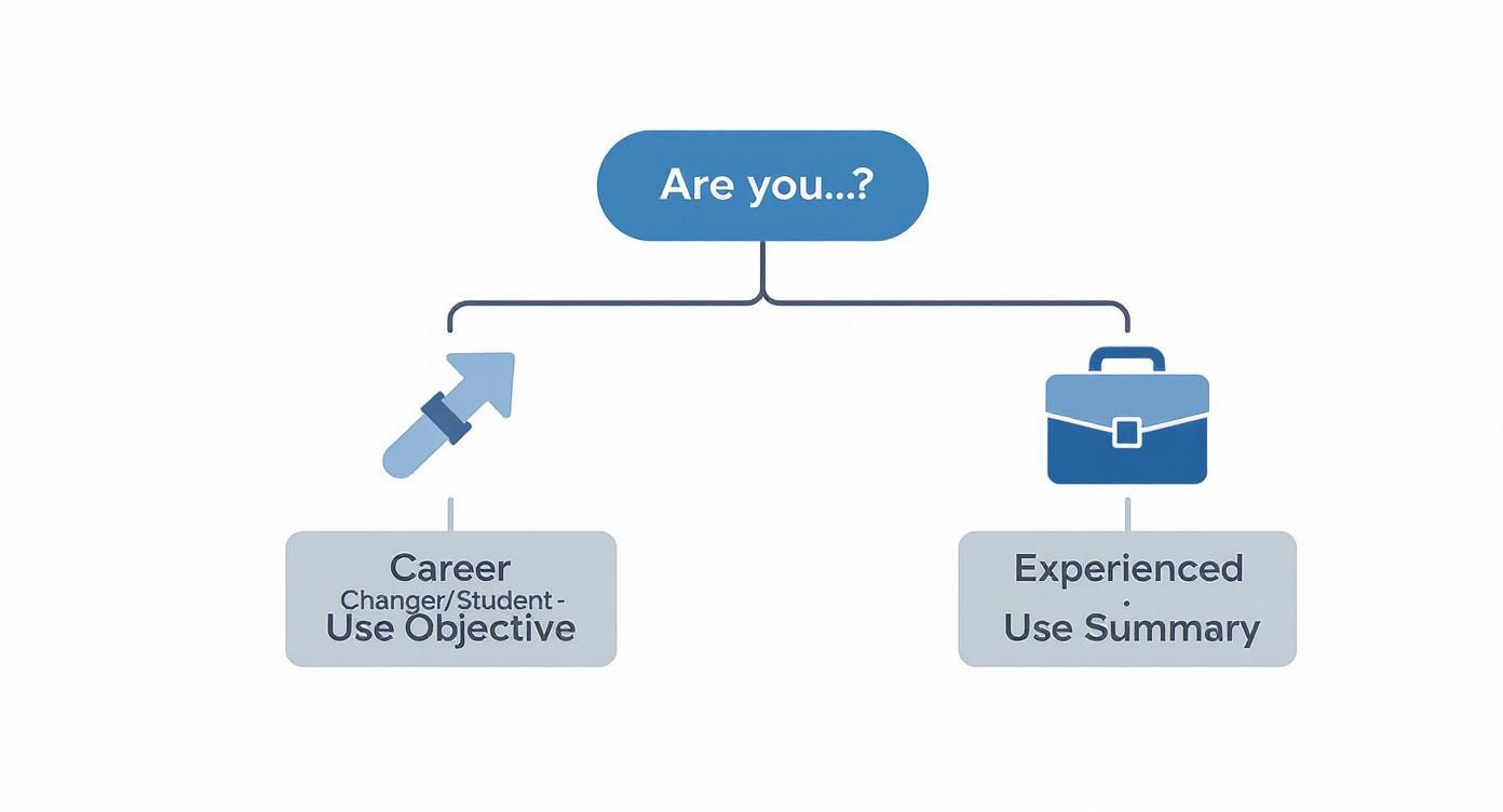 Infographic decision tree helping users choose between a resume objective or a summary