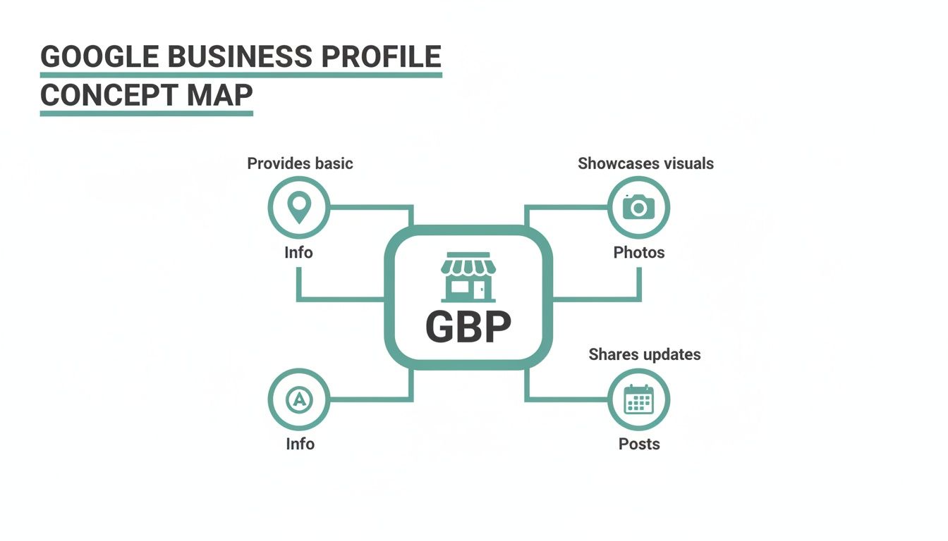 Concept map illustrating the Google Business Profile, detailing its functions like information, photos, and posts.