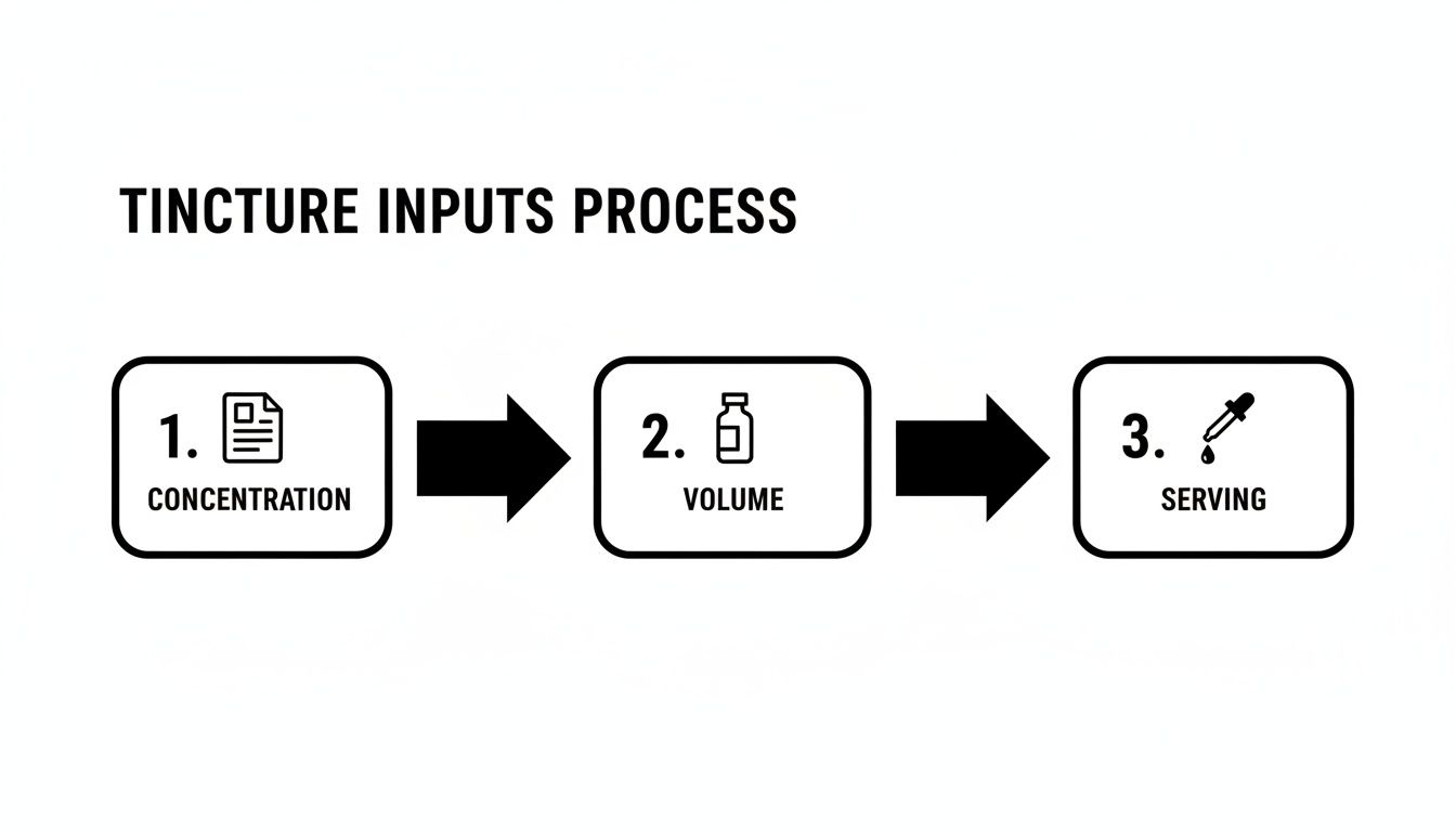 A three-step flowchart outlining the tincture inputs process: concentration, volume, and serving.