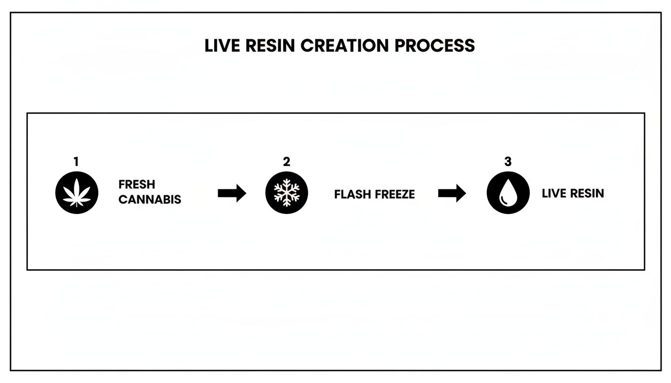 Flowchart illustrating the live resin creation process from fresh cannabis to flash freeze and final product.