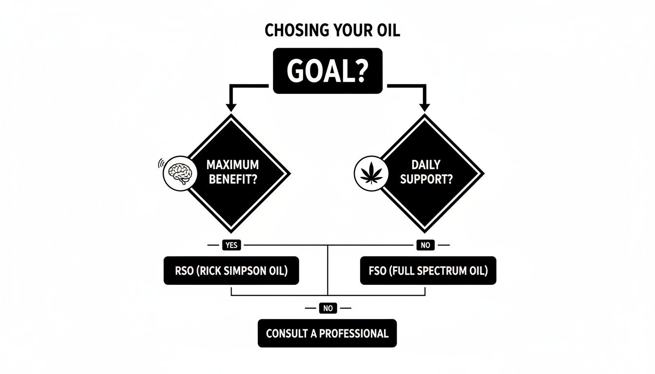 A flowchart guiding the user to choose between RSO and FSO based on whether they seek maximum benefit or daily support.
