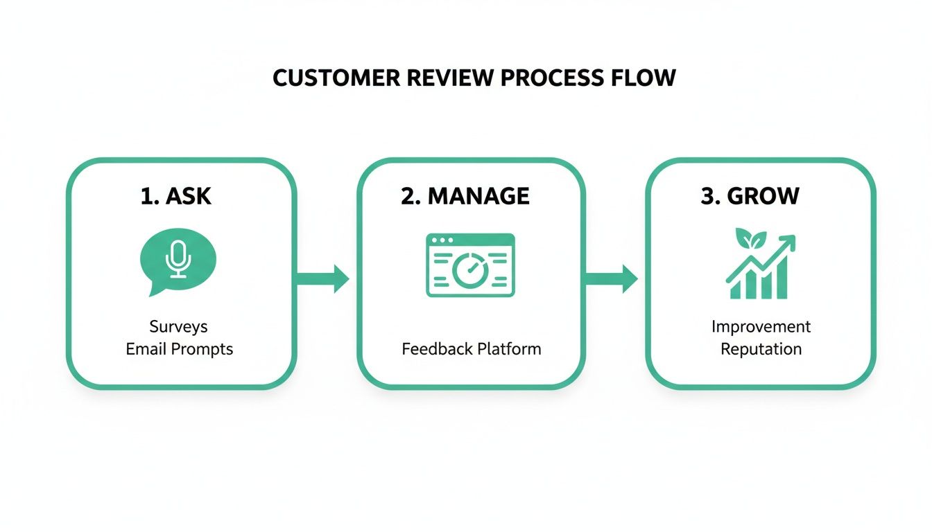 Diagram illustrating a customer review process flow with three stages: Ask, Manage, and Grow.