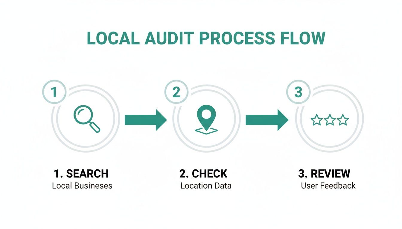 Infographic showing a 3-step local audit process: search local businesses, check location data, and review user feedback.