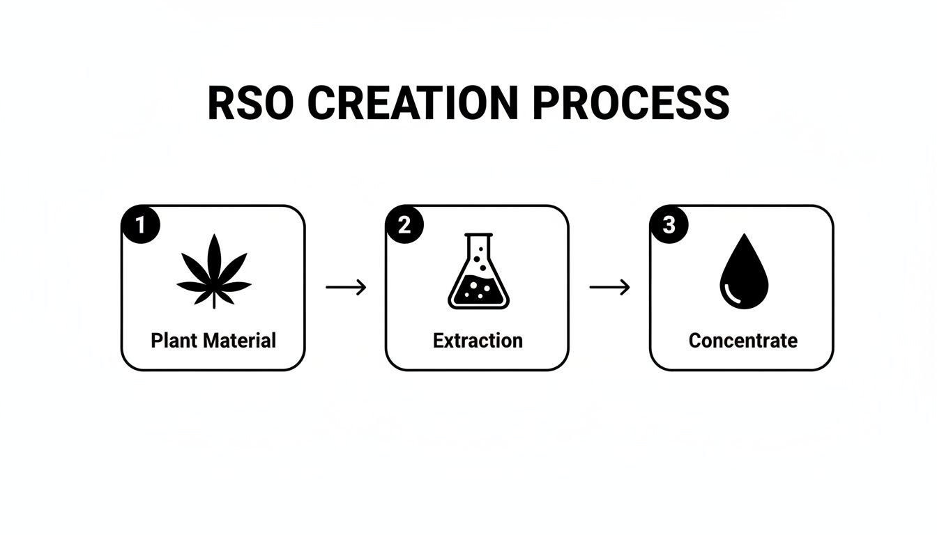 Diagram illustrating the RSO creation process, showing plant material, extraction, and concentrate steps.